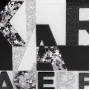 Клатч з акрилу Karl Lagerfeld art 313